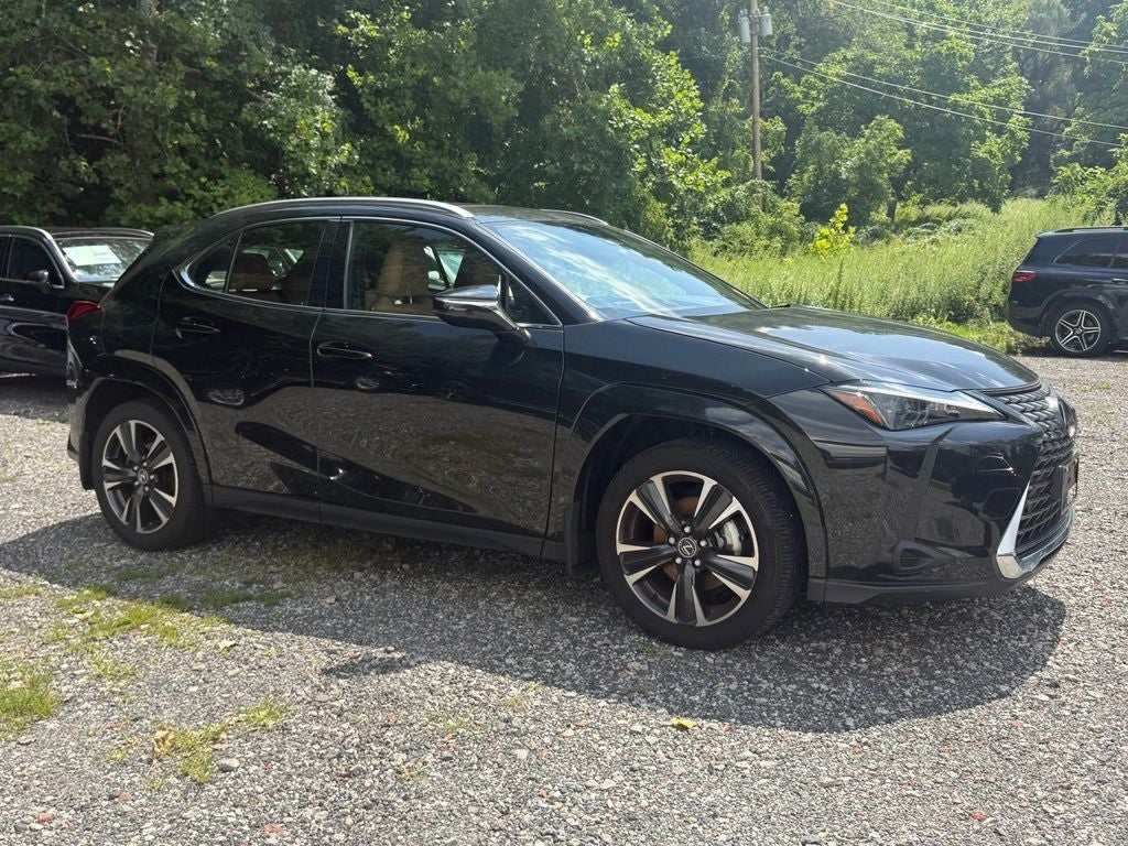 2025 Lexus UX 300h Premium