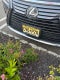 2018 Lexus RX 350L