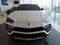 2019 Lamborghini Urus Base