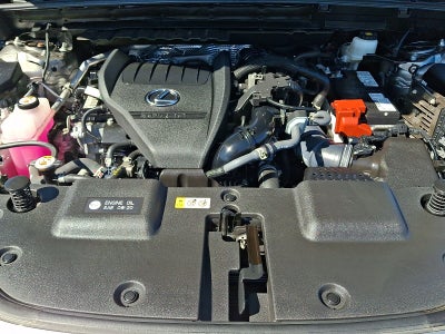 2024 Lexus NX 350 Base