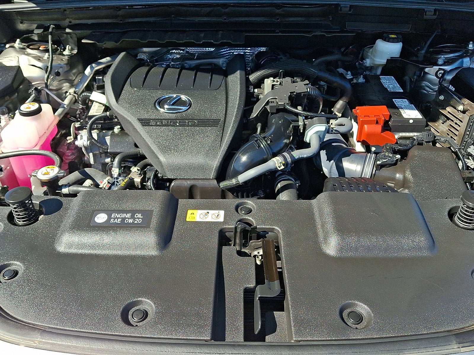 2024 Lexus NX 350 Base