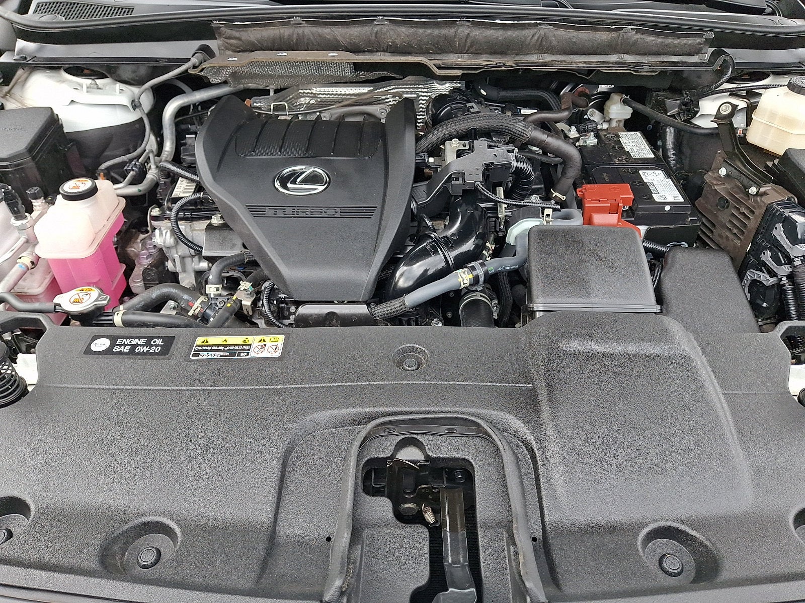 2024 Lexus RX 350 Premium Plus