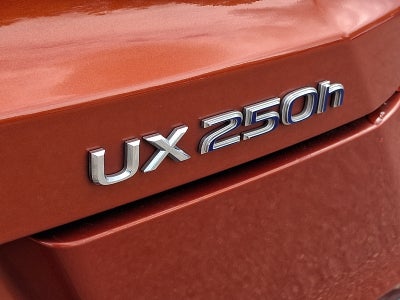 2019 Lexus UX 250h F SPORT